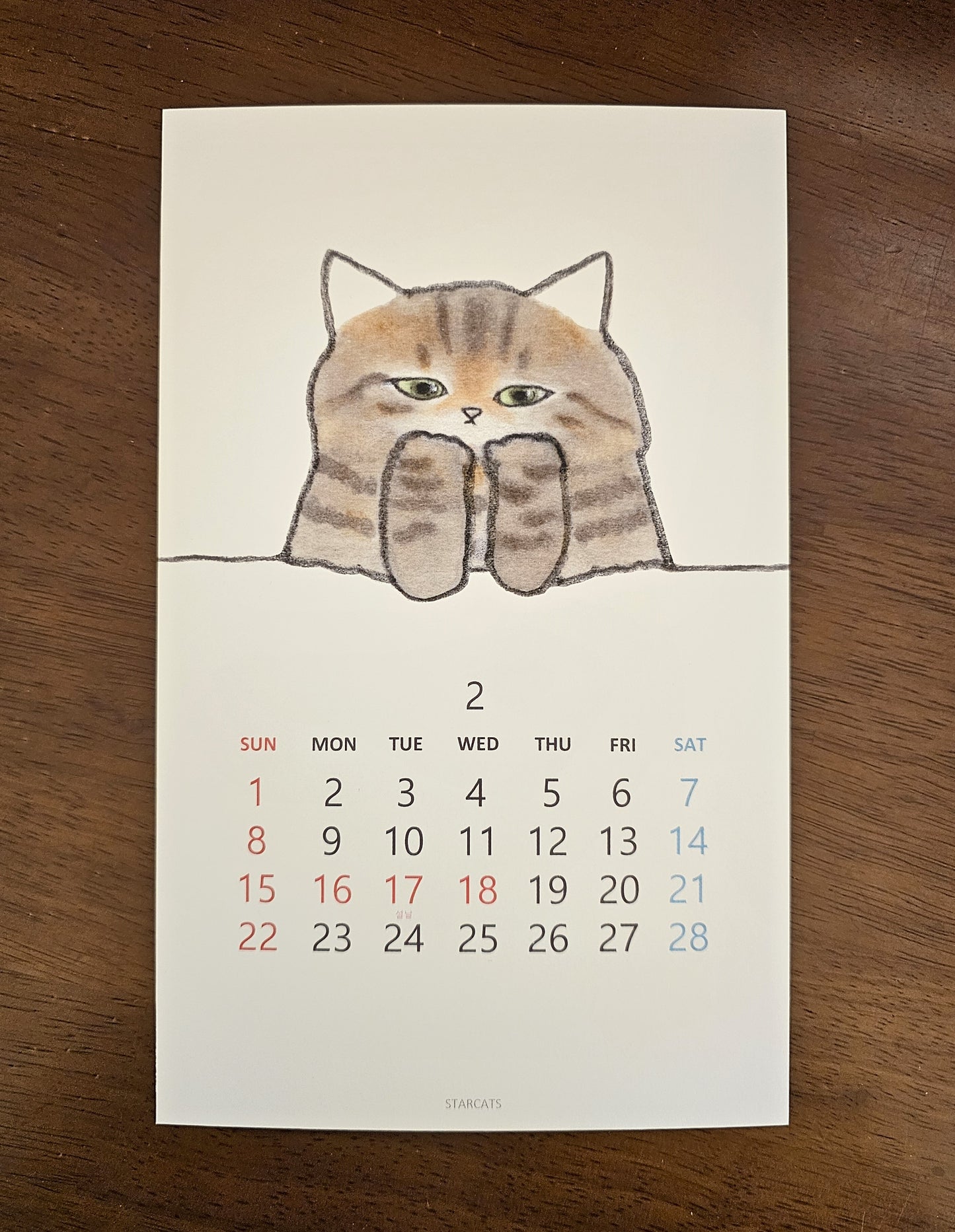 2026 Cat Calendar