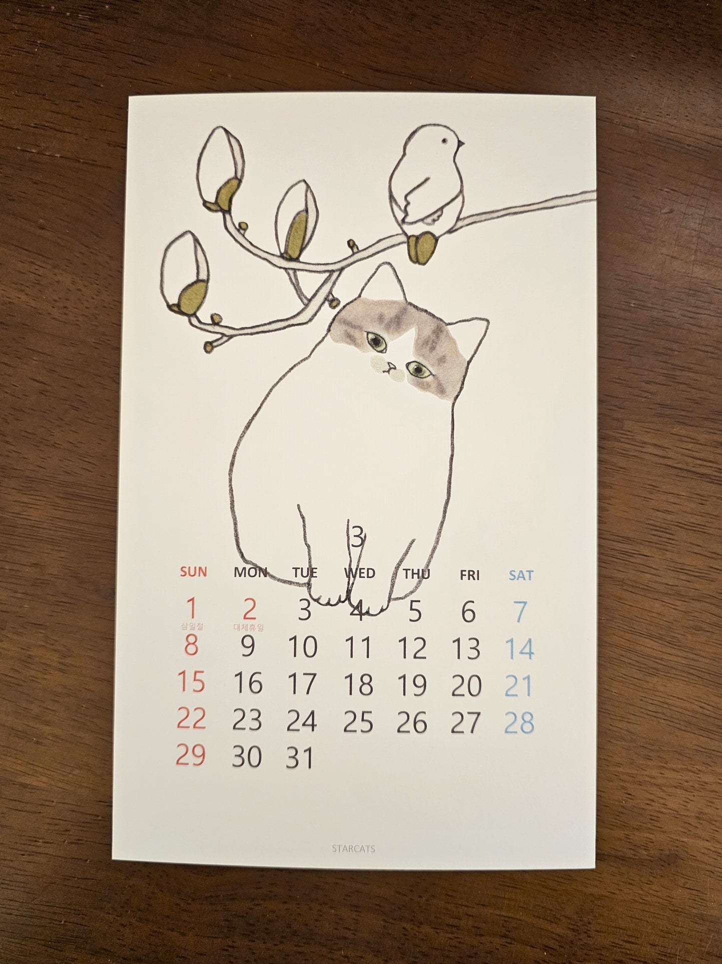 2026 Cat Calendar