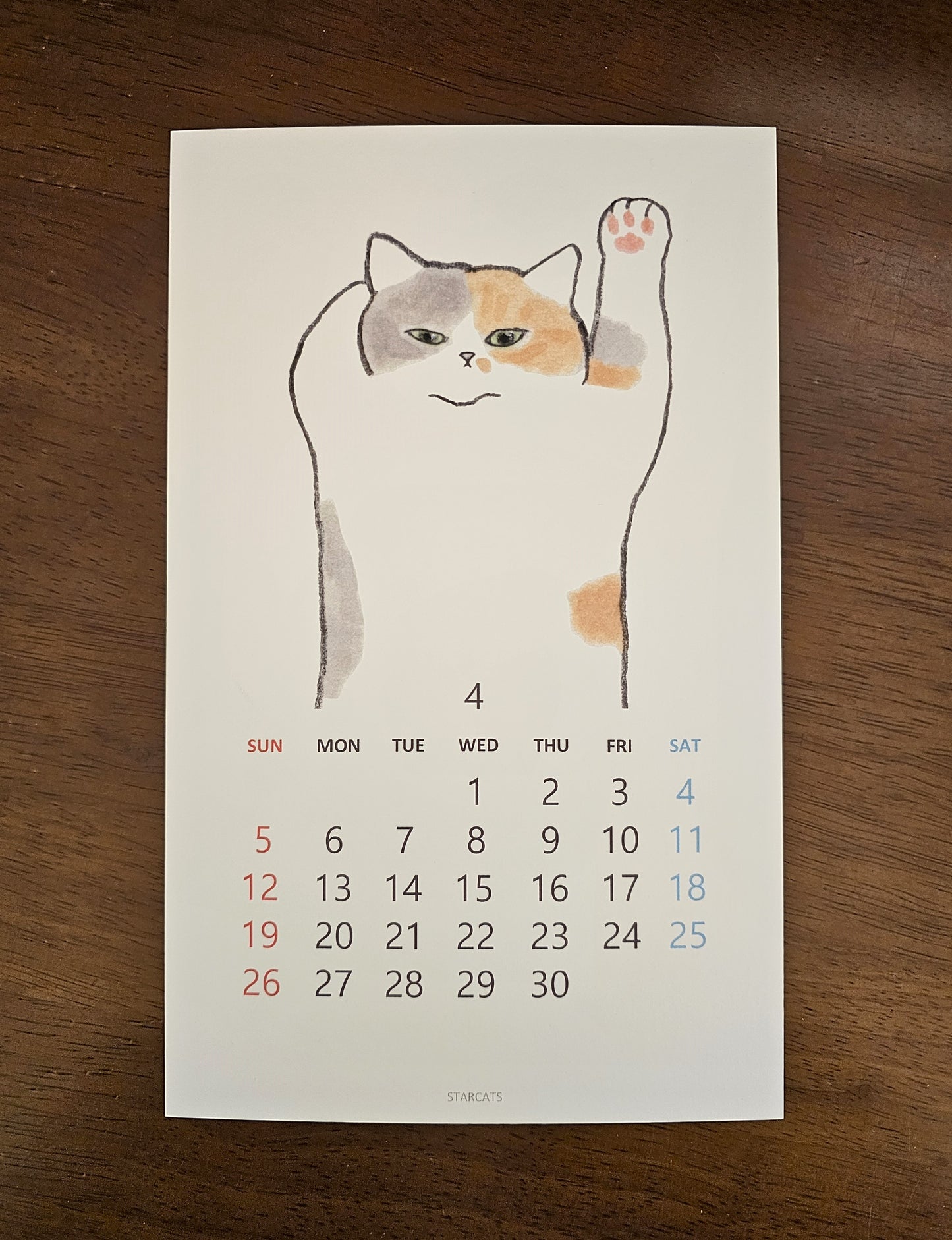 2026 Cat Calendar