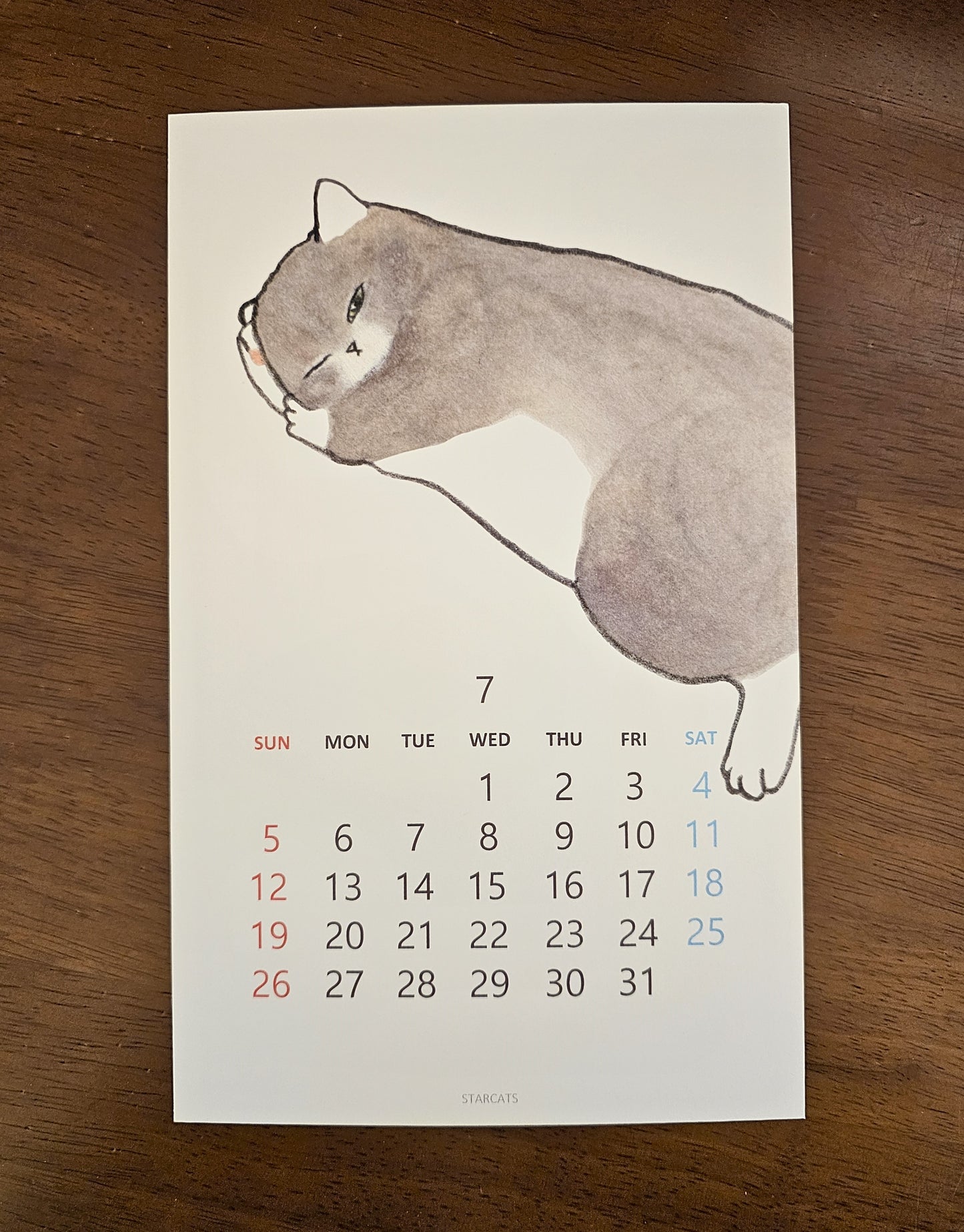 2026 Cat Calendar