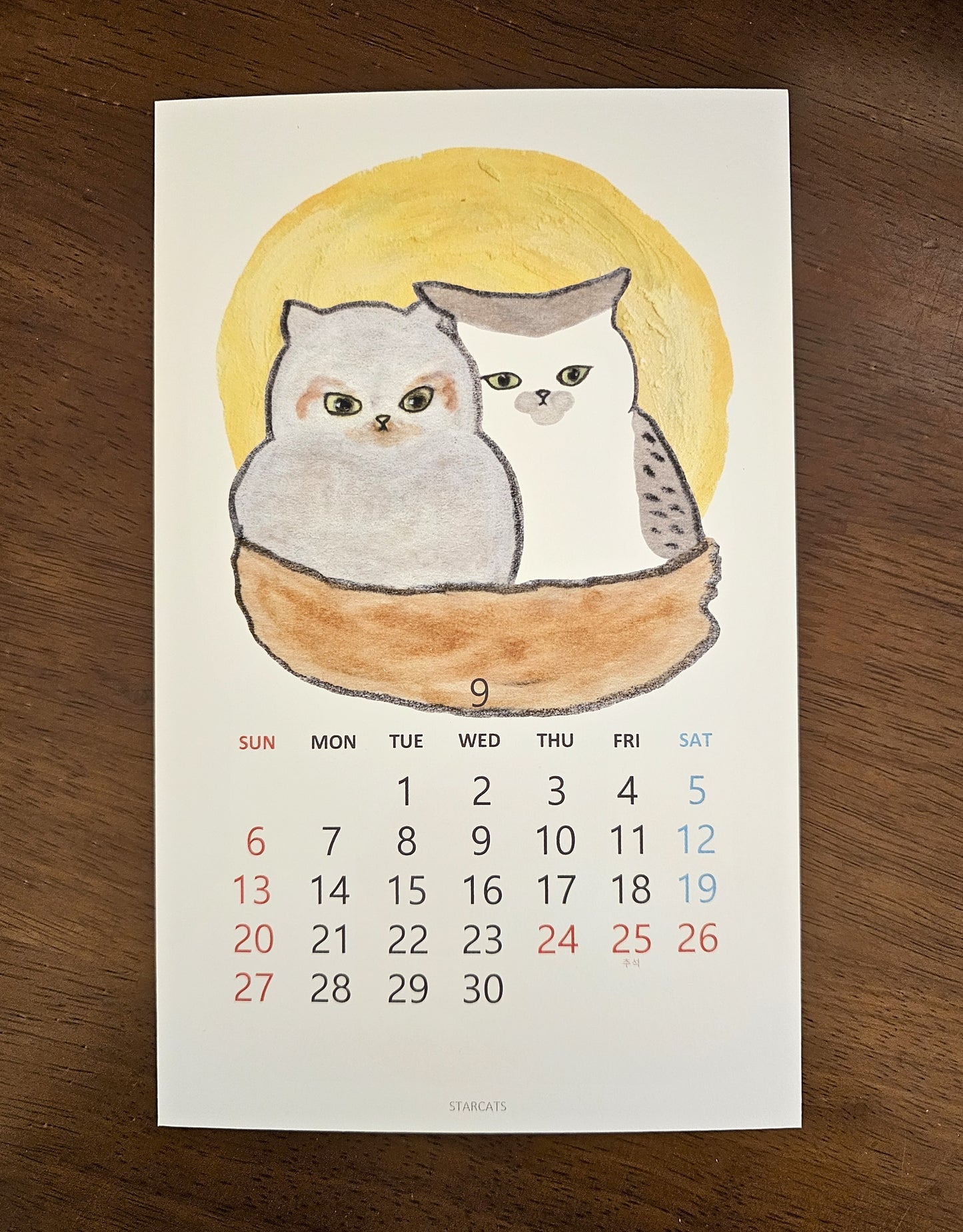 2026 Cat Calendar