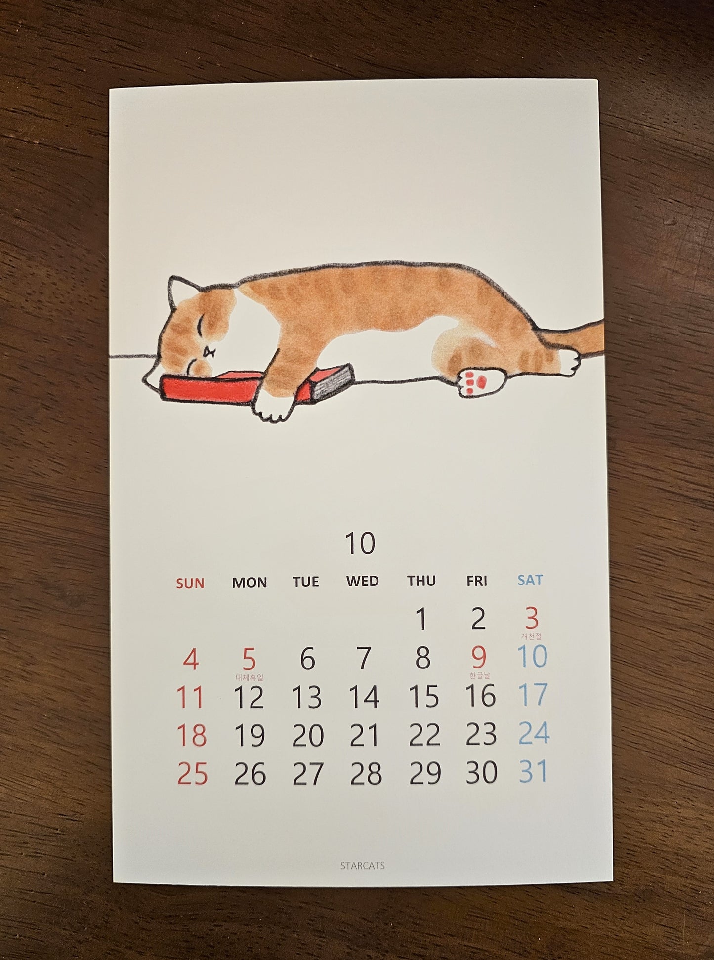 2026 Cat Calendar