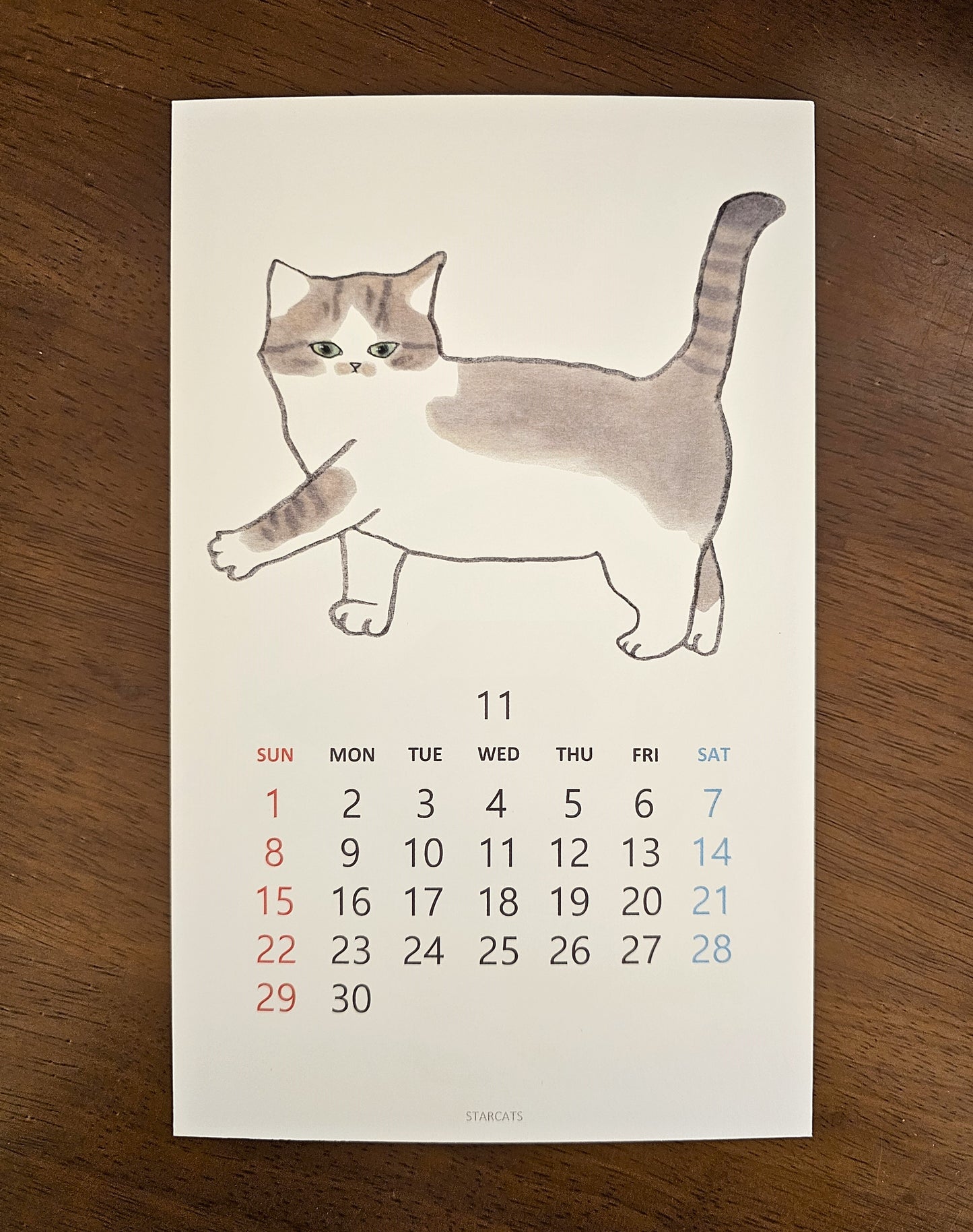 2026 Cat Calendar
