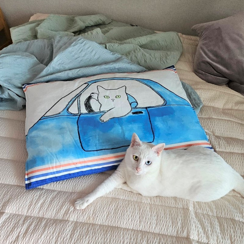 Pillow cover 4 - Drive cat