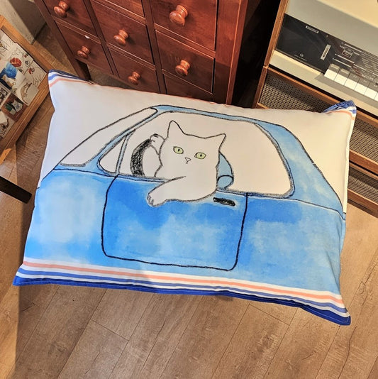 Pillow cover 4 - Drive cat
