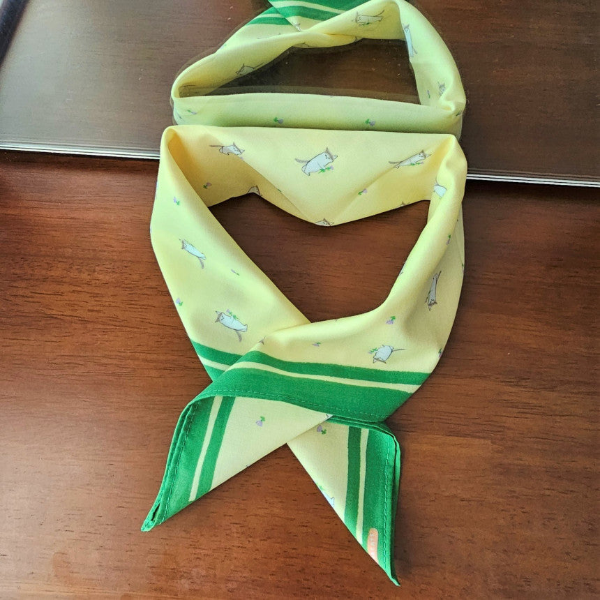 Handkerchief 5