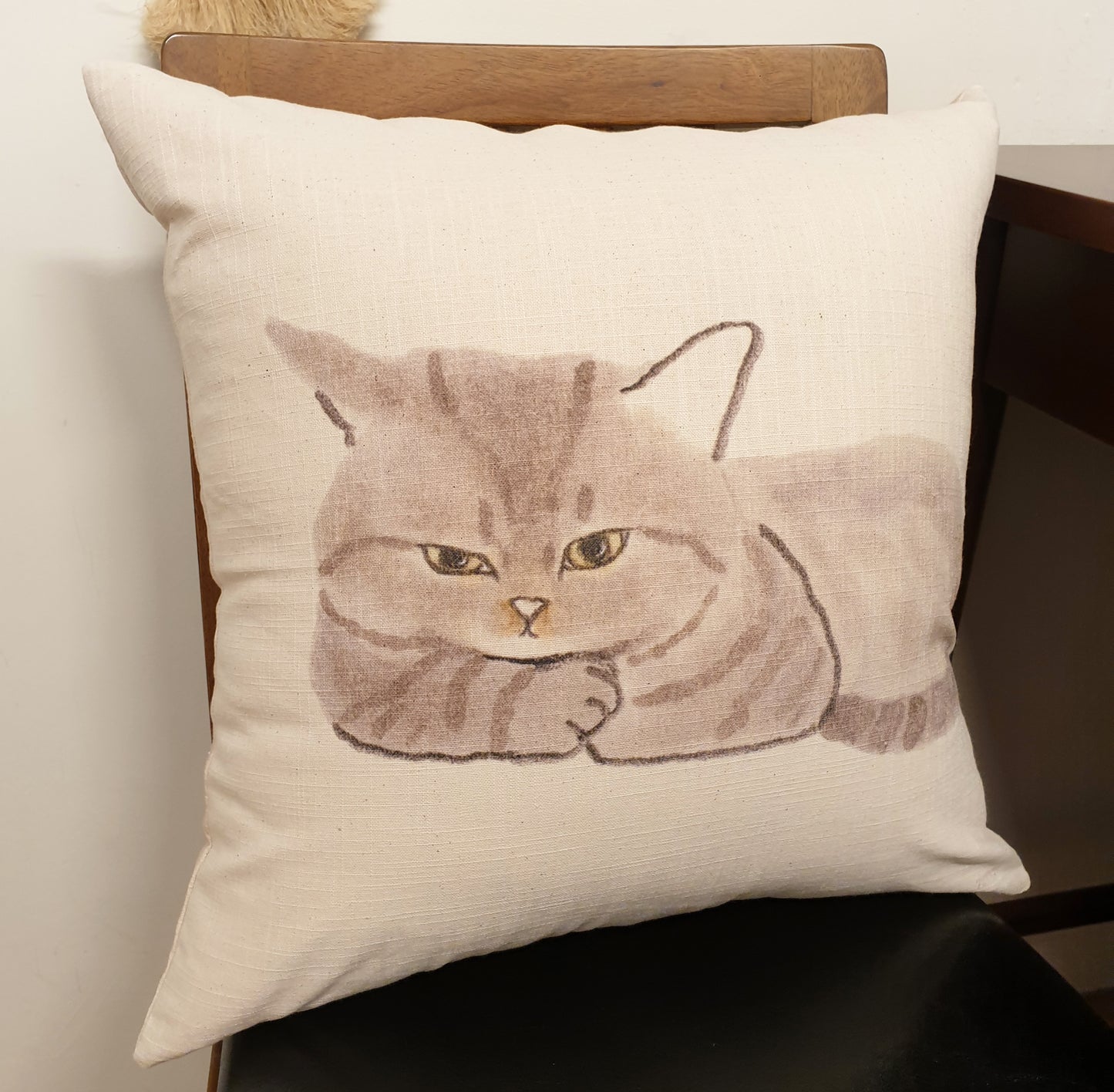 A sulky cat, cushion covers