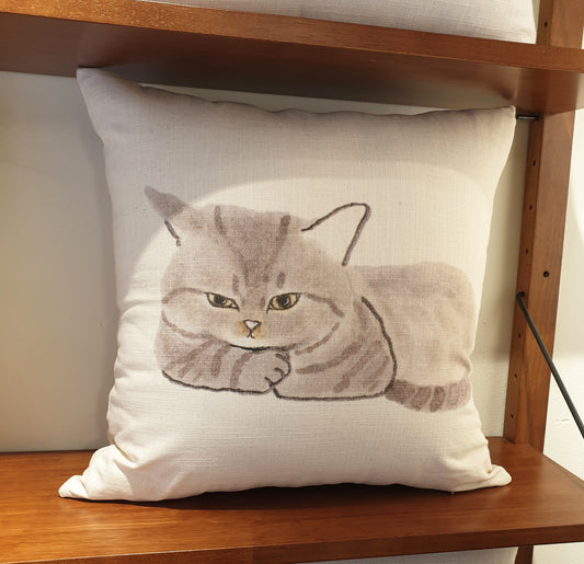 A sulky cat, cushion covers