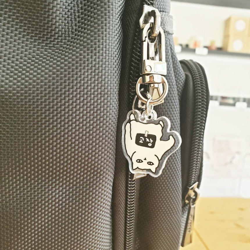 NOT working cat key holer