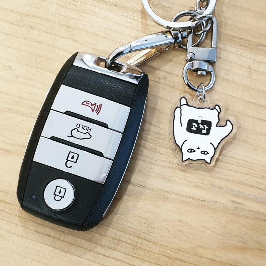 NOT working cat key holer