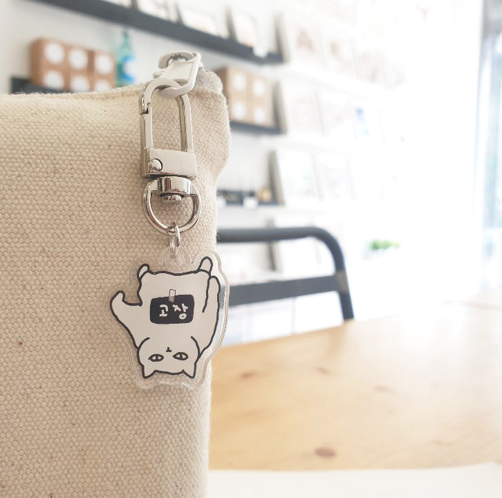 NOT working cat key holer