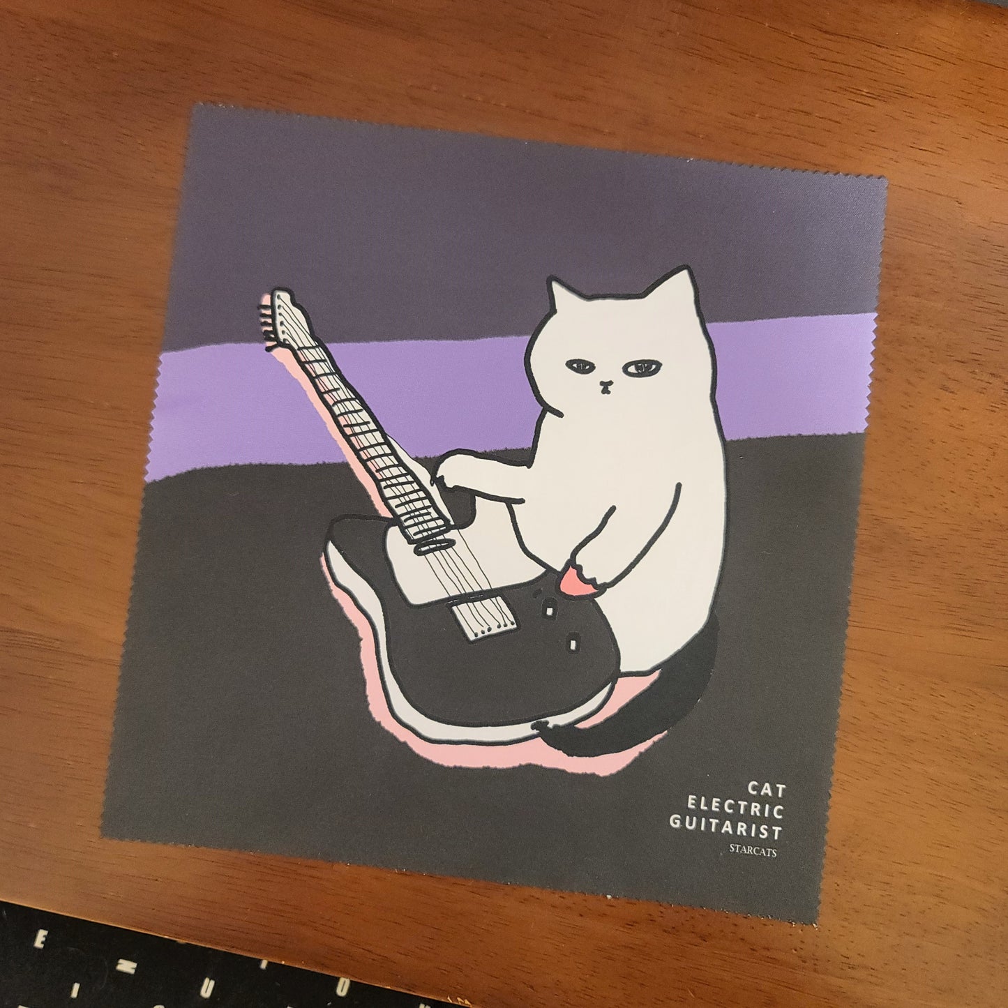 Electric Guitarist , Glasses cleaner