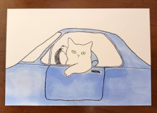 postcard 19